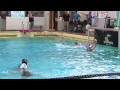 High School Water Polo: LB Wilson vs. LB Poly
