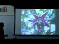 LBCC - "A Passion For Passion Flowers," Presented by Jorge Ochoa