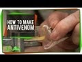 How To Make Antivenom