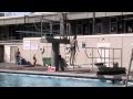 Amanda Carter Diving 3-13-2010
