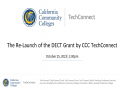 The Re-Launch of the DECT Grant by TechConnect