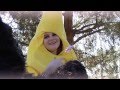 Bananas - A Film 1 Project by Padlock Productions