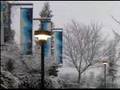 Snow on Mendocino College