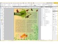 Donna Caldwell CS 72 11A Adobe InDesign 1 Working with Layers 03 11 2013