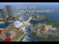 "What are Virtual Worlds" by Liz Ru...