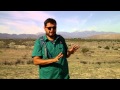 AGNR 141 -Mojave Desert -Deep Creek Lab - Spring 2013
