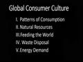 Global Consumer Culture 1: Patterns of Consumption