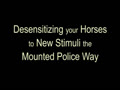 Desensitizing Your Horse/Reducing Stress During Handling